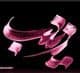 شاعره: نیّره قاسمی