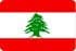 جوایز ویژه لبنان به هنرمندان بجنوردی رسید