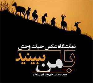 نمایشگاه "با من ببینید " افتتاح شد