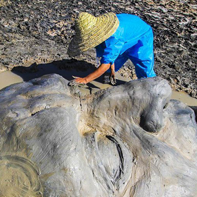 سایت جشنواره ملی مجسمههای نمکی در دست طراحی است